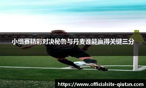 小组赛精彩对决秘鲁与丹麦谁能赢得关键三分